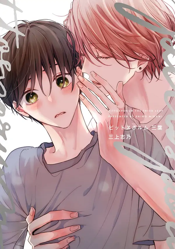 Pittosporum (Vol 3: The third leaf)