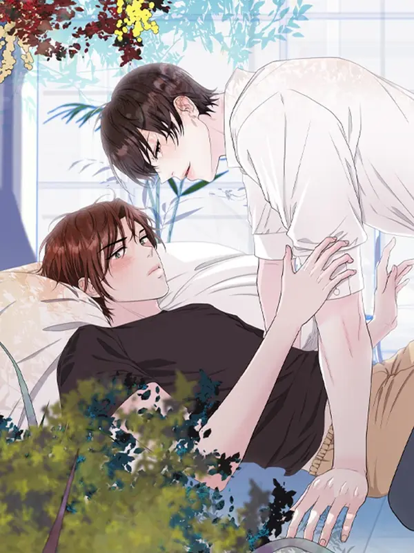 The Way We See Each Other