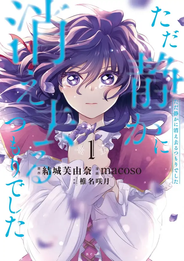 I Only Meant to Disappear Quietly [ Art Lapsa ]