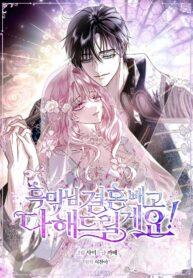 Anything But Marriage, Mr. Villain