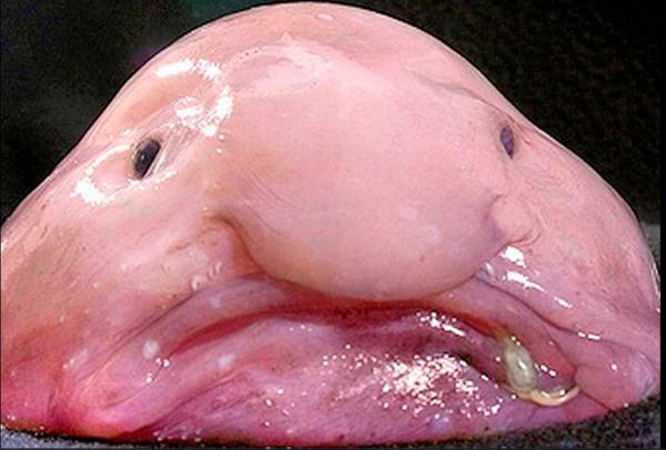 Every villainess ever-69testingring