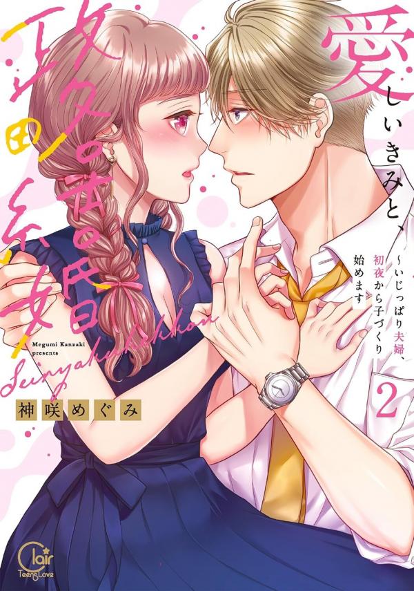 Itoshii Kimito Seiryakukekkon