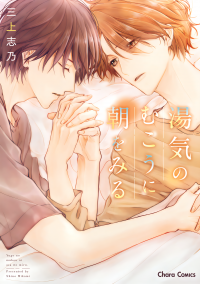 SEEING THE DAWN THROUGH THE MIST