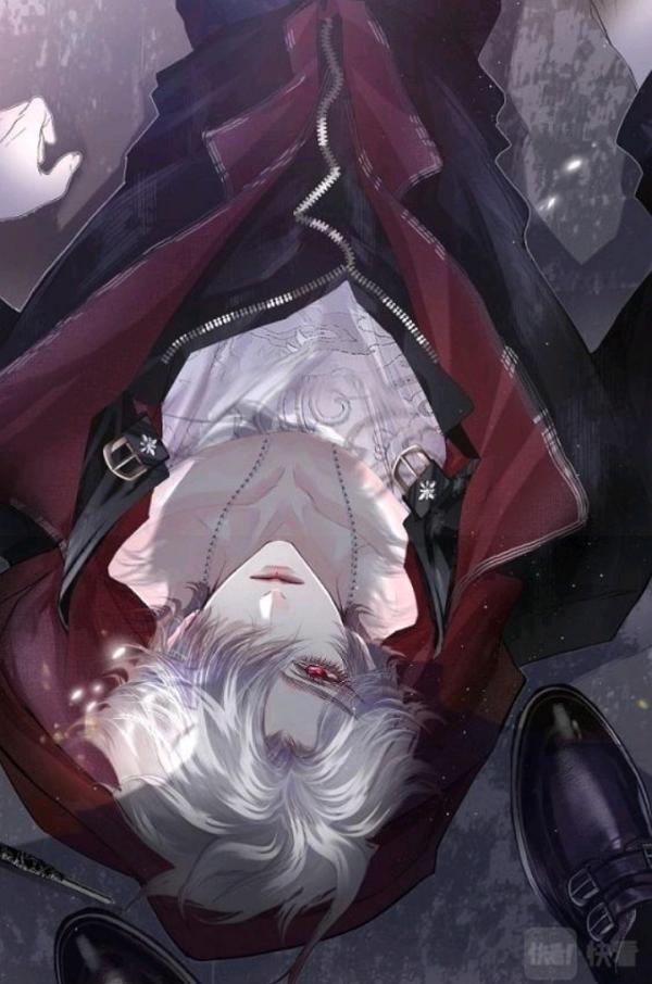 Twilight Isn’t Late, There’s A Cat When I Return